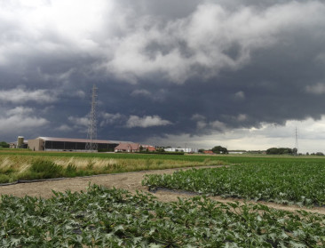 "Is landbouw nu plots niet meer essentieel?"