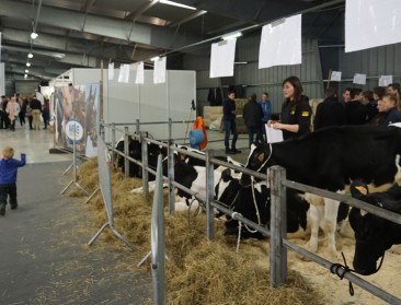 Opnieuw geen rundveeprijskampen op Agridagen: “Het levenswerk van de veehouders beschermen”