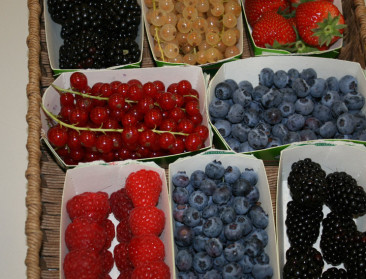 Belg consumeert thuis meer fruit maar minder groenten