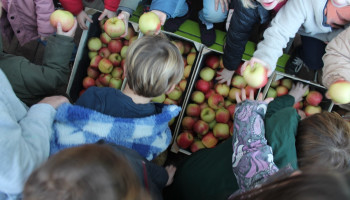 WAP-actie wil herkomst voeding terug bij parate kennis schoolgaande jeugd