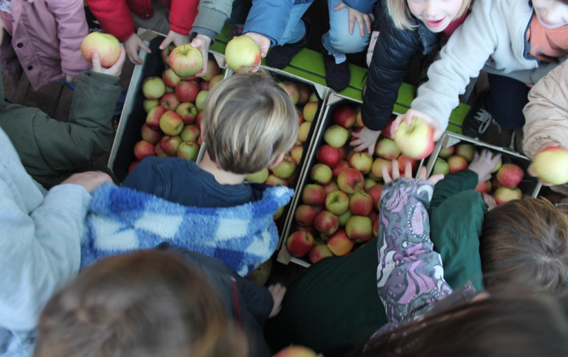 WAP-actie wil herkomst voeding terug bij parate kennis schoolgaande jeugd