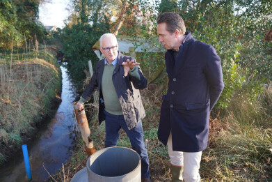 Brouns Blue Deal - stuwtjes3