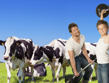 Matrixeffect verklaart gezondheidsvoordeel van zuivel