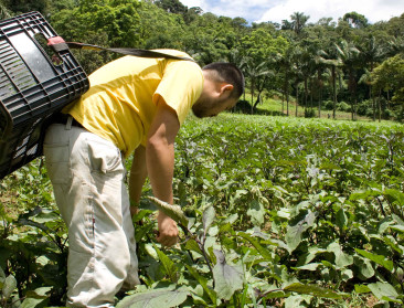 5.000 deelnemers op agro-ecologiecongres in Brazilië