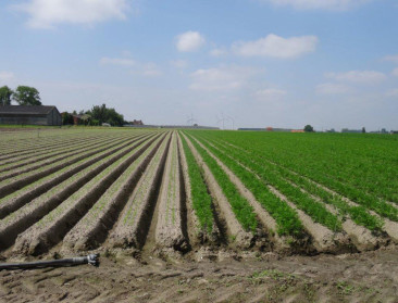 Verkenning van het 'energielandschap' Vlaanderen