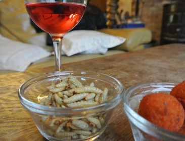 Vanaf 2018 houdt EU alle insectenhapjes voor novel food