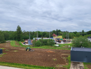 Wilgen, hennep en enzymes halen PFAS uit bodem en grondwater in uniek saneringsproject