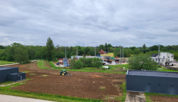 Wilgen, hennep en enzymes halen PFAS uit bodem en grondwater in uniek saneringsproject