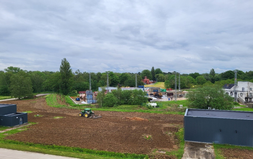 Wilgen, hennep en enzymes halen PFAS uit bodem en grondwater in uniek saneringsproject