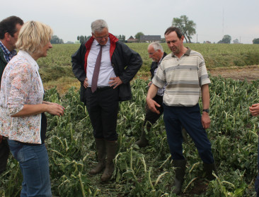 "Landbouwers met stormschade behouden premierechten"