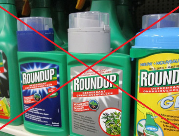 Omtrent glyfosaat start tweede proces van de waarheid