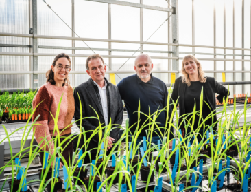 Van labo naar veld: Globachem zet bacteriën uit databank UHasselt in om biologische gewasbescherming te ontwikkelen