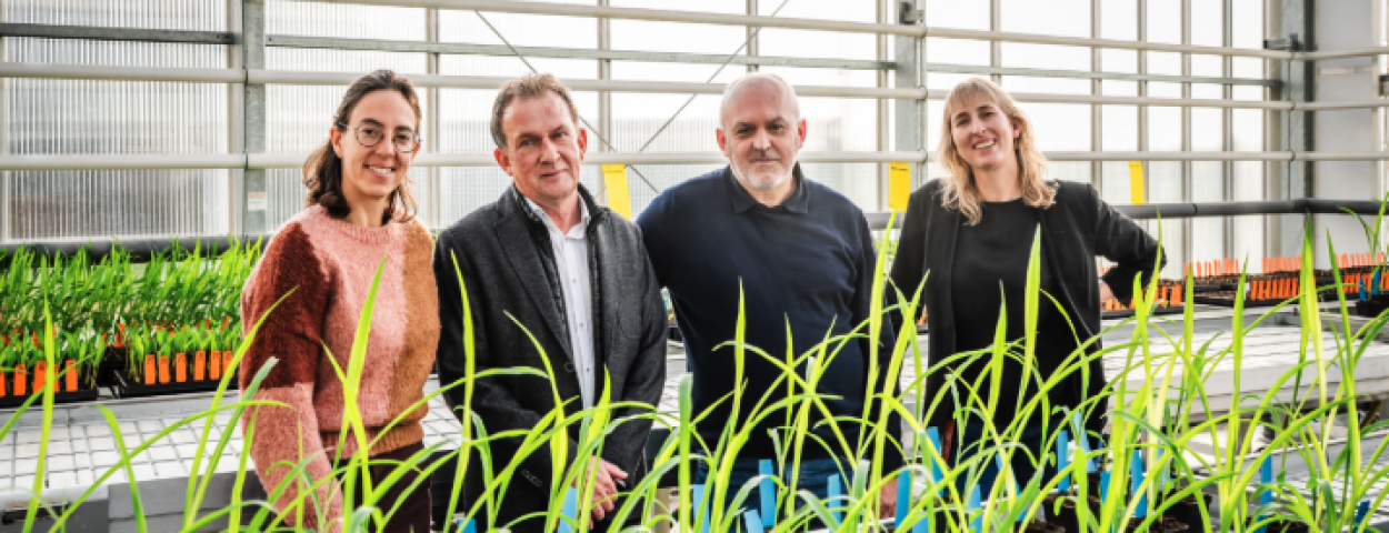 UHasselt_Globachem_Bacterie