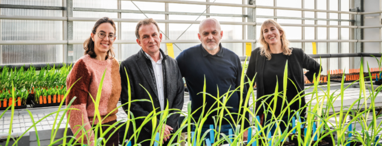 UHasselt_Globachem_Bacterie