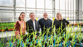 Bedrijf Globachem werkt samen met Universiteit Hasselt  voor biologische gewasbescherming