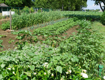 Opstart van 19 nieuwe volkstuinen krijgt een duwtje