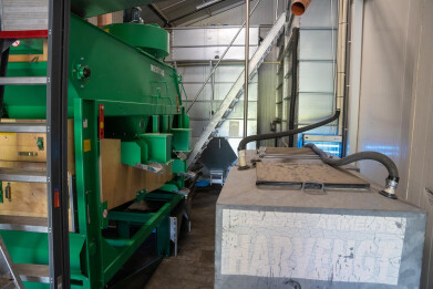 verwerking van mosterdzaad hof ter vrijlegem