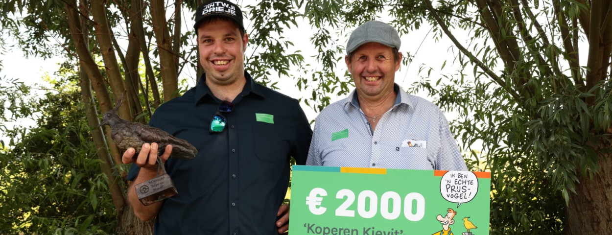 BoerennatuurVlaanderen1 koperenkievit