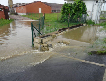 Laatste tarwepercelen staan te verkommeren in de regen