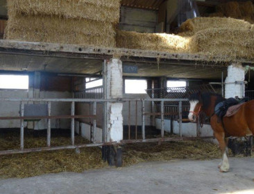 Steunpunt Groene Zorg blij met erkenning zorgboerderij