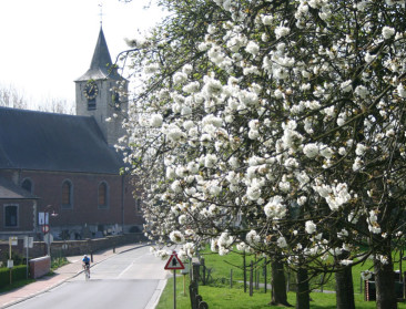 2015 was overgangsjaar voor plattelandsbeleid
