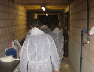 Varkensbedrijven worden jaar na jaar bioveiliger