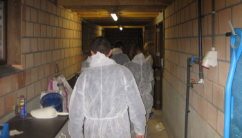 Varkensbedrijven worden steeds bioveiliger