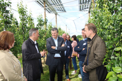 ceysens somers agrovoltaics
