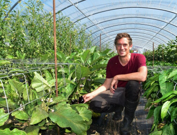 Het Polderveld oogst erkenning met biogroenten voor AZ Zeno