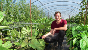 Het Polderveld oogst erkenning met biogroenten voor AZ Zeno
