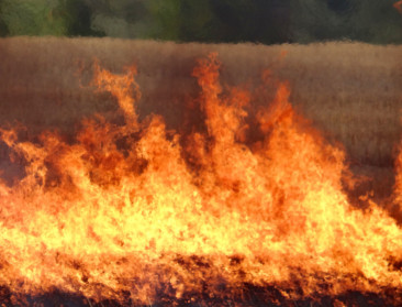 "We moeten durven praten over risico in de landbouw"