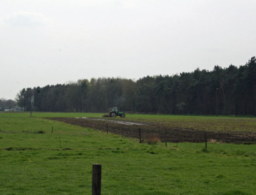 Breeders Trust ontdekt fraude met graszaad