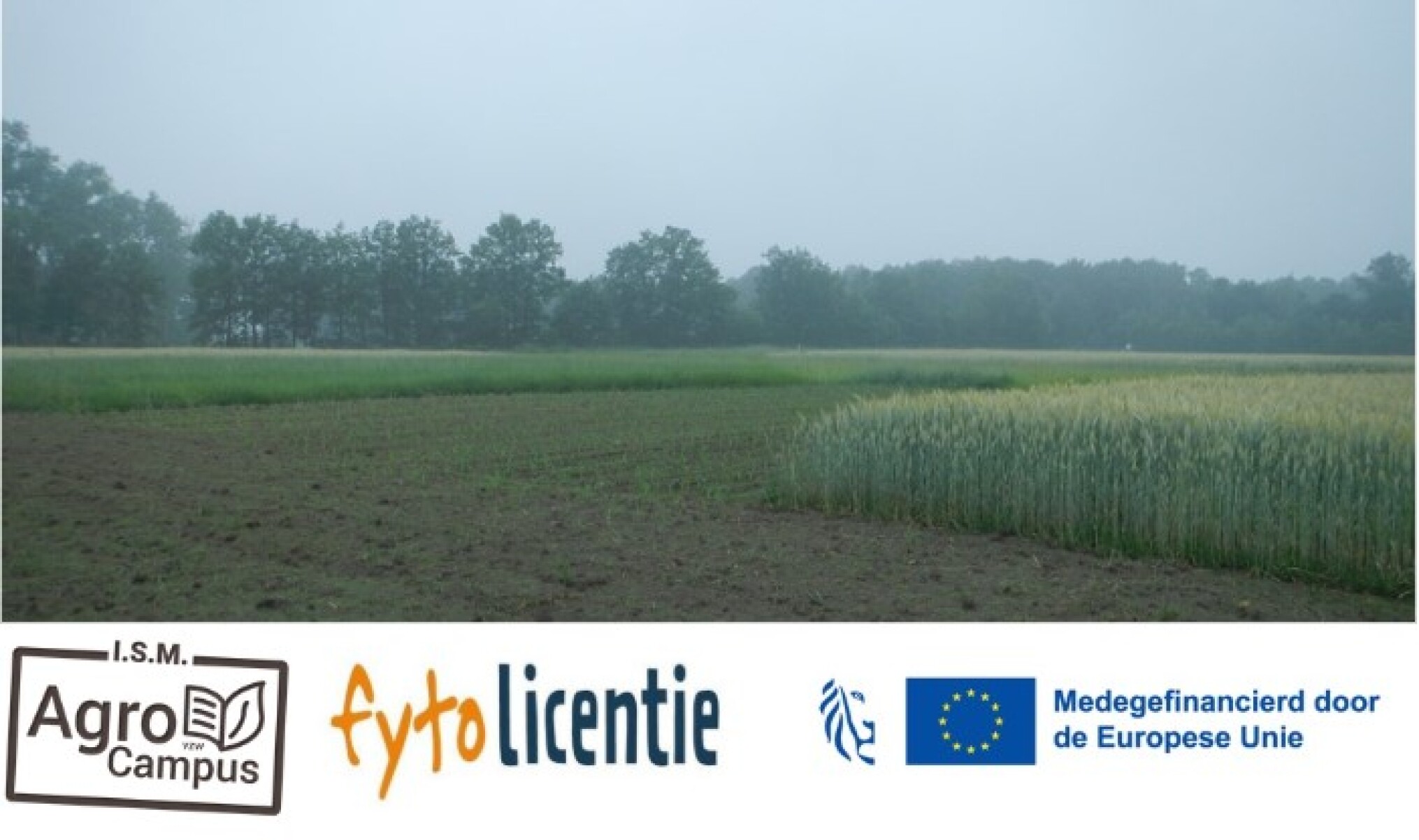 Webinar: Vruchtwisseling hand in hand met IPM (Fytolicentie)