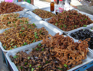 EU-Parlement pleit voor voorzichtige aanpak novel foods