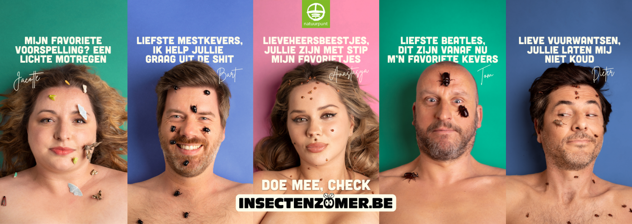 Insectenzomer_Natuurpunt
