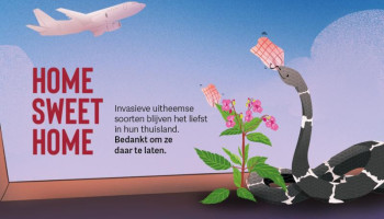 “Home sweet home” waarschuwt voor invasieve uitheemse soorten