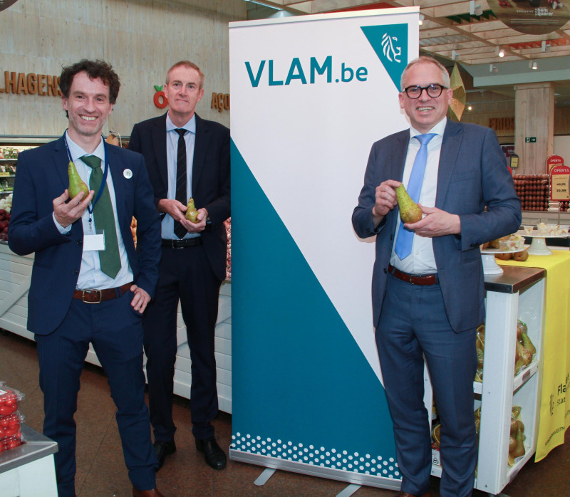 Vlam in Brazilie
