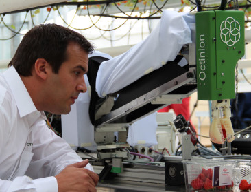 Plukrobot voor aardbeien klaar voor de toekomst