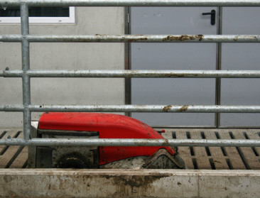 "89 procent landbouwjobs bedreigd door automatisering"