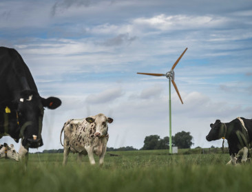 Vlaamse boeren ongerust over faillissement windmolenbouwer EAZ