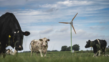 Interesse in windmolens en pocketvergisters stijgt door hoge energiekosten