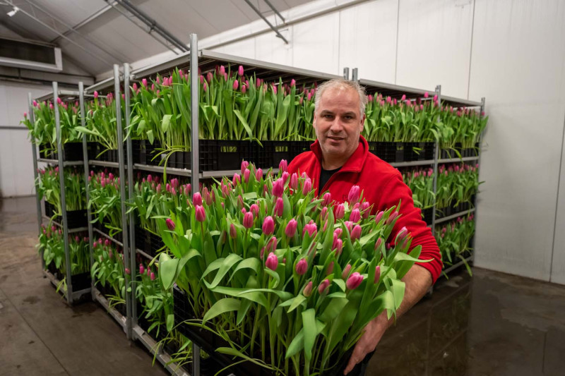 Tuliflor - bloemen voor de VLAM-pluktuin