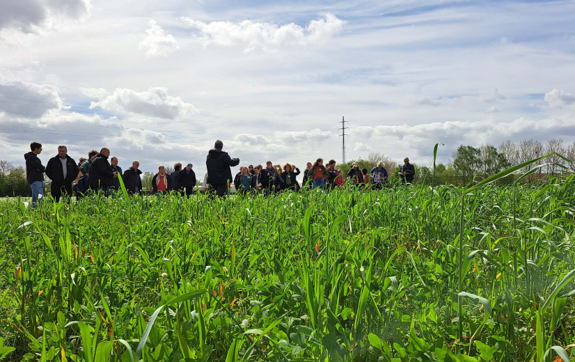 Inagro en CCBT willen met 16 andere EU-partners de advisering voor biolandbouw opschalen