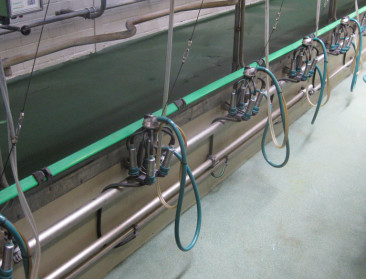 Vlaamse melkveehouders voor het eerst op termijnmarkt