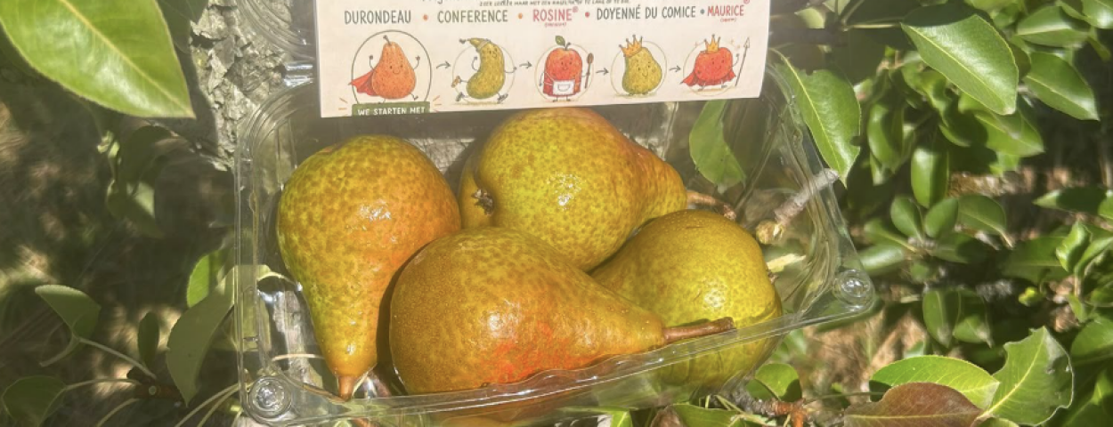 Bont_fruit