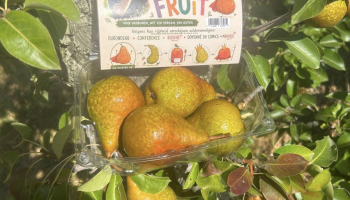 ‘Bont Fruit’ wil fruit met schoonheidsfoutjes volwaardig vermarkten: ‘De buitenkant heeft een verhaal’