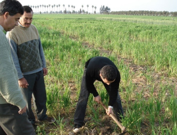 ILVO-nematologen participeren met succes in internationale onderzoeksfora