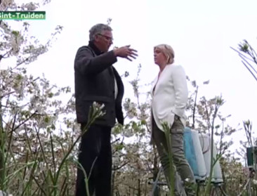 Vautmans bang dat tegenslagen fruittelers klein krijgen