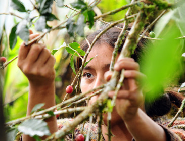 Trias maakt koffie vrouwvriendelijker
