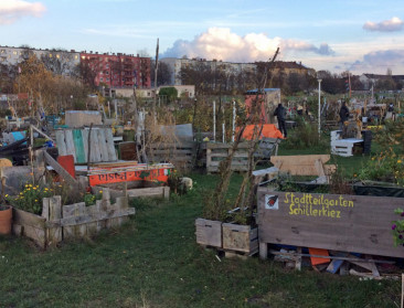 Stedelijk beleid rond stadslandbouw maakt het verschil